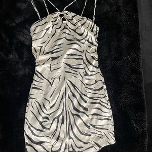 Zara Black and White Zebra Print Mini Dress